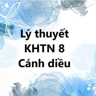 L Thuy T Khtn C Nh Di U T Ng H P Ki N Th C Khtn C Nh Di U L