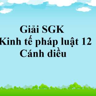 Giải SGK Kinh tế Pháp luật 12 Bài 7 Cánh diều Quản lí thu chi trong