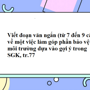 Top 30 đoạn văn ngắn về một việc làm góp phần bảo vệ môi trường