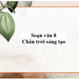 Văn bản chủ yếu hướng đến luận đề nào dưới đây Lí giải vào hệ thống