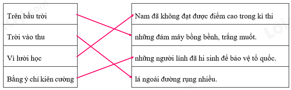 Chủ ngữ, vị ngữ, trang ngữ là gì? (ảnh 6)