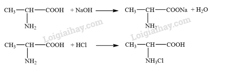 Giải SGK Hóa 12 Bài 7 (Chân trời sáng tạo): Amino acid và peptide (ảnh 7)