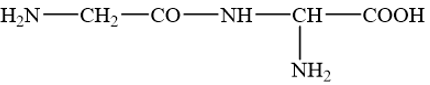 Giải SGK Hóa 12 Bài 7 (Chân trời sáng tạo): Amino acid và peptide (ảnh 8)