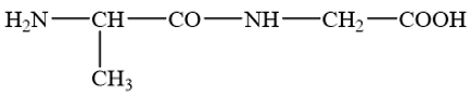 Giải SGK Hóa 12 Bài 7 (Chân trời sáng tạo): Amino acid và peptide (ảnh 9)