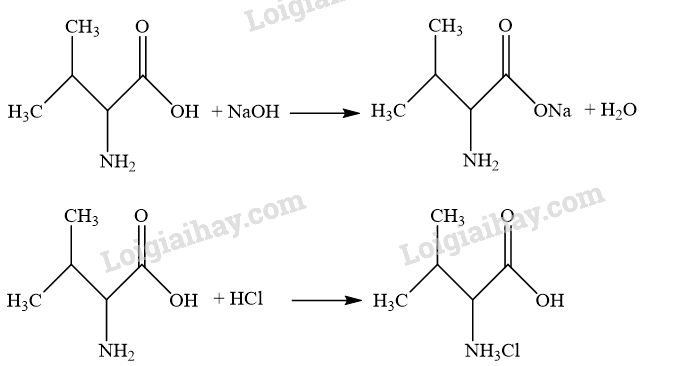 Giải SGK Hóa 12 Bài 7 (Chân trời sáng tạo): Amino acid và peptide (ảnh 10)