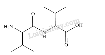 Giải SGK Hóa 12 Bài 7 (Chân trời sáng tạo): Amino acid và peptide (ảnh 11)