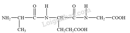 Giải SGK Hóa 12 Bài 7 (Chân trời sáng tạo): Amino acid và peptide (ảnh 12)