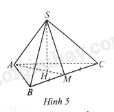 Sách bài tập Toán 8 Bài 1 (Cánh diều): Hình chóp tam giác đều (ảnh 1)