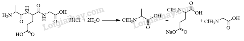 Giải SGK Hóa 12 Bài 7 (Chân trời sáng tạo): Amino acid và peptide (ảnh 13)