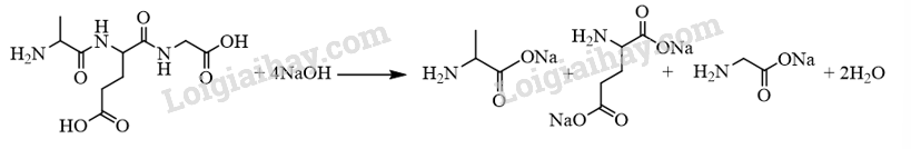 Giải SGK Hóa 12 Bài 7 (Chân trời sáng tạo): Amino acid và peptide (ảnh 14)
