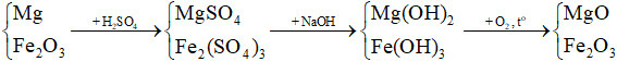 Giải SBT Hóa 11 Bài 7 (Chân trời sáng tạo): Sulfuric acid và muối sulfate (ảnh 1)
