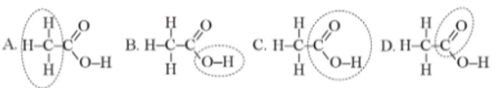 Giải SBT Hóa 11 Bài 8 (Cánh diều): Hợp chất hữu cơ và hoá học hữu cơ (ảnh 1)