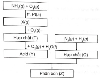 Giải SBT Hóa 11 Bài 5 (Chân trời sáng tạo): Một số hợp chất với oxygen của nitrogen (ảnh 2)