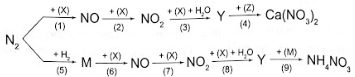 Giải SBT Hóa 11 Bài 5 (Chân trời sáng tạo): Một số hợp chất với oxygen của nitrogen (ảnh 5)