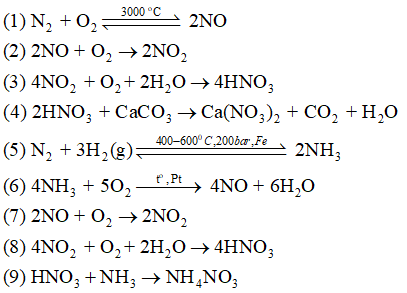 Giải SBT Hóa 11 Bài 5 (Chân trời sáng tạo): Một số hợp chất với oxygen của nitrogen (ảnh 6)