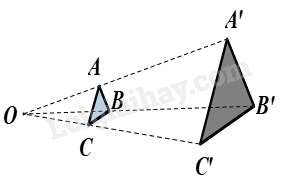 20 Bài tập Hình đồng dạng lớp 8 (sách mới) có đáp án (ảnh 1)