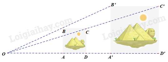 20 Bài tập Hình đồng dạng lớp 8 (sách mới) có đáp án (ảnh 2)