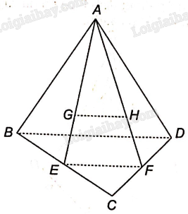 Sách bài tập Toán 11 Bài 12 (Kết nối tri thức): Đường thẳng và mặt phẳng song song (ảnh 2)