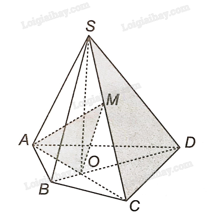 Sách bài tập Toán 11 Bài 10 (Kết nối tri thức): Đường thẳng và mặt phẳng trong không gian (ảnh 1)