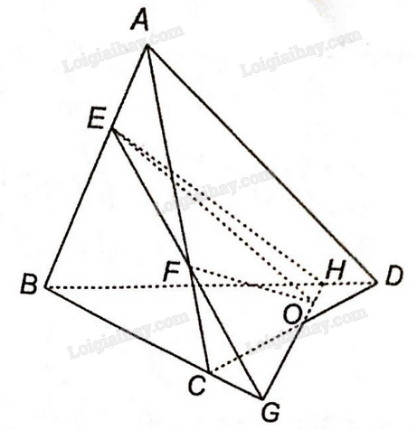 Sách bài tập Toán 11 Bài 10 (Kết nối tri thức): Đường thẳng và mặt phẳng trong không gian (ảnh 6)