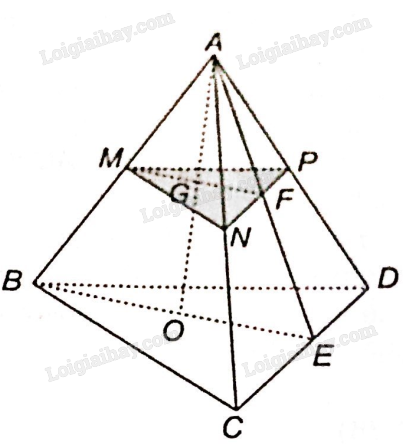 Sách bài tập Toán 11 Bài 10 (Kết nối tri thức): Đường thẳng và mặt phẳng trong không gian (ảnh 8)
