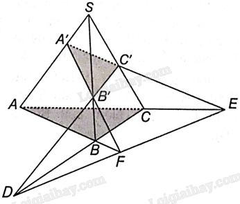 Sách bài tập Toán 11 Bài 10 (Kết nối tri thức): Đường thẳng và mặt phẳng trong không gian (ảnh 9)