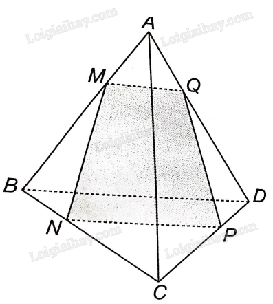 Sách bài tập Toán 11 Bài 11 (Kết nối tri thức): Hai đường thẳng song song (ảnh 1)