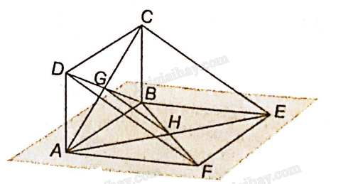 Sách bài tập Toán 11 Bài 11 (Kết nối tri thức): Hai đường thẳng song song (ảnh 9)