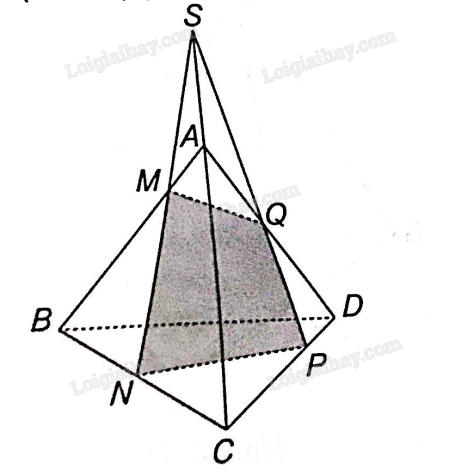 Sách bài tập Toán 11 Bài 11 (Kết nối tri thức): Hai đường thẳng song song (ảnh 11)