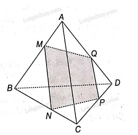 Sách bài tập Toán 11 Bài 11 (Kết nối tri thức): Hai đường thẳng song song (ảnh 12)