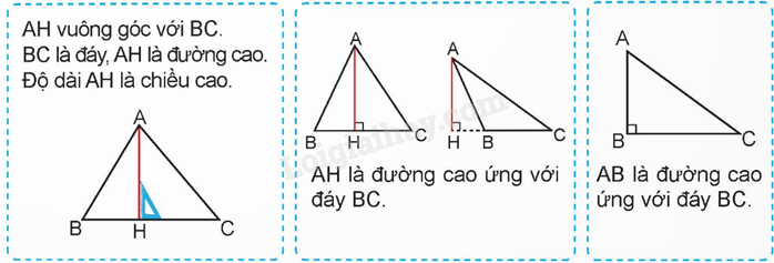 Lý thuyết Hình tam giác. Diện tích hình tam giác lớp 5 (Kết nối tri thức) hay, chi tiết (ảnh 6)