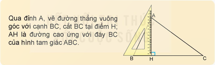 Lý thuyết Hình tam giác. Diện tích hình tam giác lớp 5 (Kết nối tri thức) hay, chi tiết (ảnh 8)