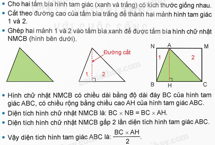 Lý thuyết Hình tam giác. Diện tích hình tam giác lớp 5 (Kết nối tri thức) hay, chi tiết (ảnh 11)