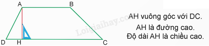 Lý thuyết Hình thang. Diện tích hình thang lớp 5 (Kết nối tri thức) hay, chi tiết (ảnh 4)