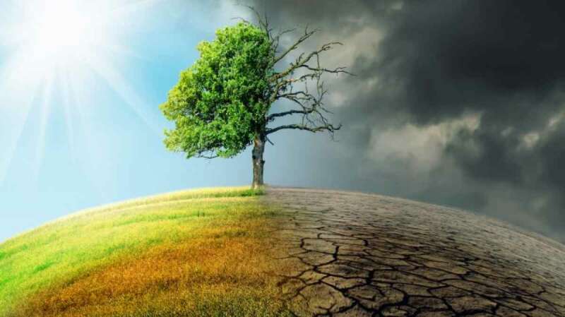 TOP 20 bài Nghị luận về vấn đề tác động của biến đổi khí hậu đối với cuộc sống (ảnh 2)