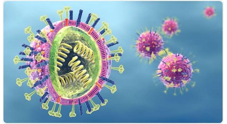 Lý thuyết Sinh học 10 Bài 25 (Kết nối tri thức): Một số bệnh do virus và các thành tựu nghiên cứu ứng dụng virus (ảnh 10)