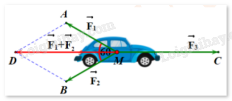 Đề cương ôn tập học kì 1 Toán 12 Kết nối tri thức năm 2024 (ảnh 14)