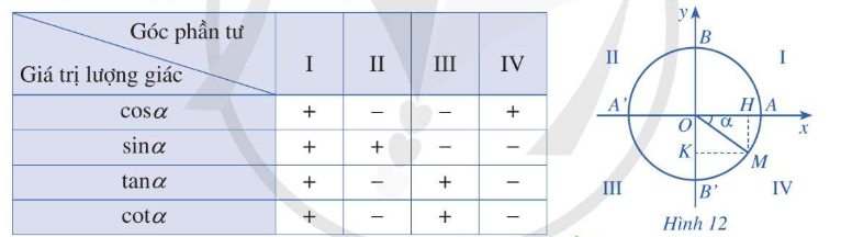 undefined (ảnh 1)
