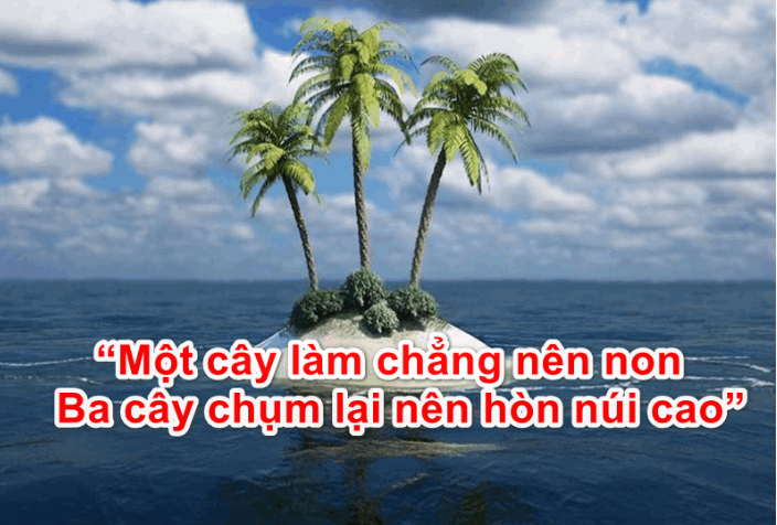 TOP 30 Nghị luận về câu tục ngữ Một cây làm chẳng nên non 2025 SIÊU HAY (ảnh 2)