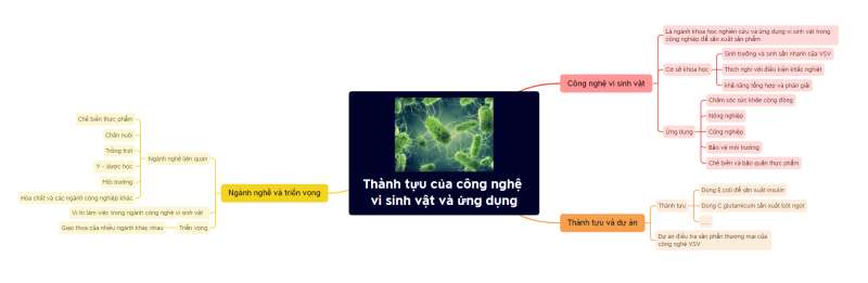 Lý thuyết Sinh học 10 Bài 20 (Cánh diều): Thành tựu của công nghệ vi sinh vật và ứng dụng của vi sinh vật (ảnh 12)