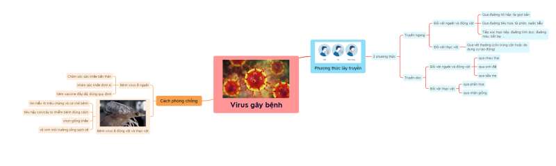 Lý thuyết Sinh học 10 Bài 31 (Chân trời sáng tạo): Virus gây bệnh (ảnh 10)