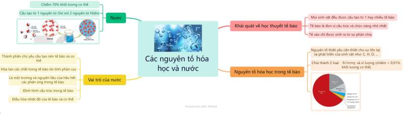 Lý thuyết Sinh học 10 Bài 4 (Kết nối tri thức): Các nguyên tố hóa học và nước (ảnh 8)