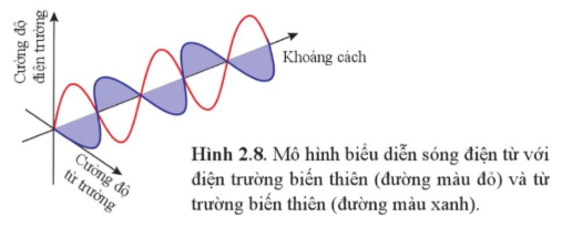 Lý thuyết Sóng dọc và sóng ngang (Cánh diều 2023) hay, chi tiết | Vật Lí 11 (ảnh 4)