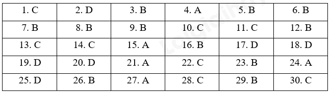 Đề cương ôn tập học kì 1 Toán 12 Kết nối tri thức năm 2024 (ảnh 17)