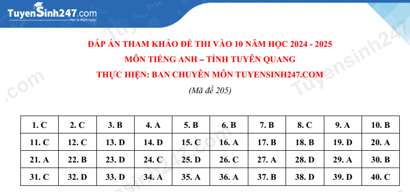 Đề thi vào lớp 10 môn Tiếng Anh 2024 tỉnh Tuyên Quang có đáp án (ảnh 4)