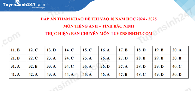 Đề thi vào lớp 10 môn Tiếng Anh 2024 tỉnh Bắc Ninh có đáp án (ảnh 1)