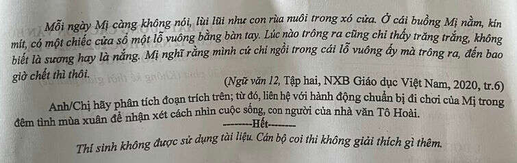 Đề thi thử Ngữ Văn sở Vĩnh Phúc 2024 có đáp án (ảnh 2)