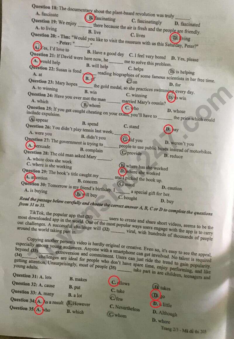 Đề thi vào lớp 10 môn Tiếng Anh 2024 tỉnh Tuyên Quang có đáp án (ảnh 2)