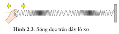 Lý thuyết Sóng dọc và sóng ngang (Cánh diều 2023) hay, chi tiết | Vật Lí 11 (ảnh 1)