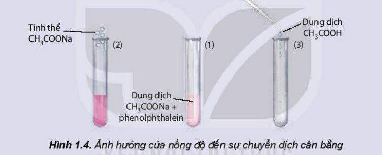 Lý thuyết Khái niệm về cân bằng hóa học (Kết nối tri thức 2023) hay, chi tiết | Hóa học 11 (ảnh 2)